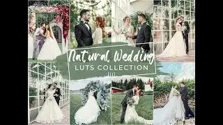 Natural Wedding Video LUTs | Wedding LUTs | Natural LUTs | Wedding Season | Free Wedding LUTs