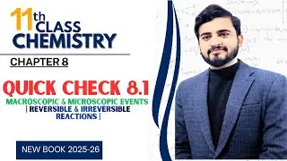 Quick Check 8.1 Solved | Reversible Reactions & Dynamic Equilibrium | Class 11 Chemistry