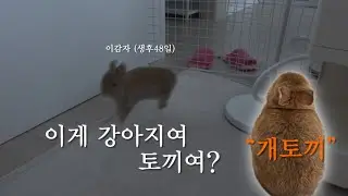 개토끼 이감자와 백수엄마의 콜라보, 만난지 4일 됐지만 엄마가 너무 좋대