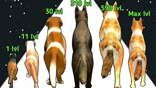 Melty Bubble 2048 vs Dog Evolution Run 3D - (Walkthrough, No Ads) Sastifying ASMR Gameplay
