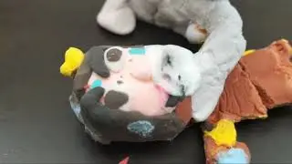 King vs todos los consecutivos de la asociaci&oacute;n kaijin