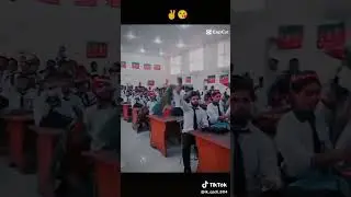Pakistani youth power