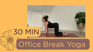 Mobility Flow for Office & Desk Jobs (30 mins)