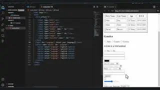 Coding HTML input and form Structure
