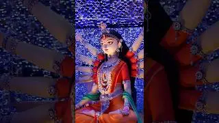Newtown sarbojanin 2025 exclusive first look #top5durgapujakolkata #yt #ytshorts