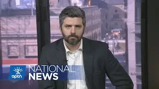 Insight into the death of Kanina Sue Turtle | APTN News