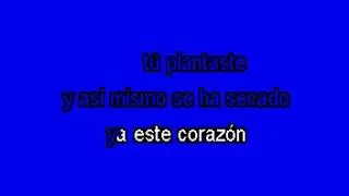 Karaoke Amor sin primavera   Yaguarú