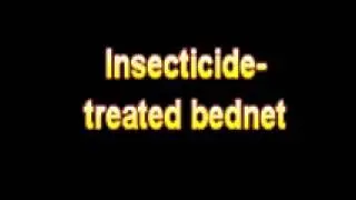 What Is The Definition Of Insecticide treated bednet Medical School Terminology Dictionary