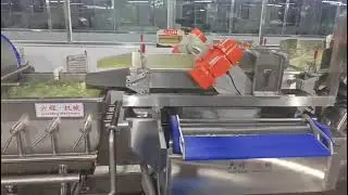 Clean vegetable processing equipment production line