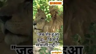 जंगल का आख़िरी फ़ैसला 🦁 | Emotional Animal Drama | Jungle Story in Hindi|#shorts #drama