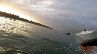 HAWAII TO CALIFORNIA! SURFING T STREET IN SAN CLEMENTE! (TRAVEL VLOG)