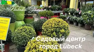 Обзор садового центра в г. L&uuml;beck (Германия) 🌟 Что предлагают в апреле 🌟