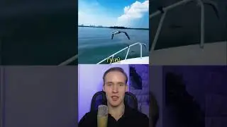 Удивительный Полет Стаи Гусей 😳