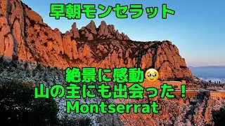 【絶景】早朝モンセラット 赤く染まる奇岩 山の主にも出会った Montserrat