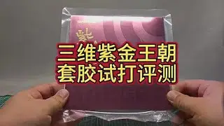 三维紫金王朝套胶试打评测#乒乓球 #试打评测 #三维紫金王朝#乒乓球 #体育 #教学 #实战