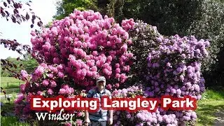Exploring Langley Park - What to do and see in Windsor