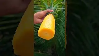 Spicy Pineapple Chutney Recipe | South Indian Style Chatpata Taste | Summer Special #shorts #food