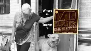 The dog that never was