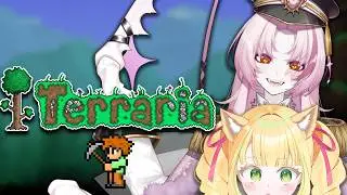 【TERRARIA】dangerous survival game with a cougar