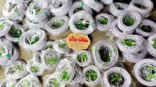 💥 SALE KHỦNG TRONG NGÀY