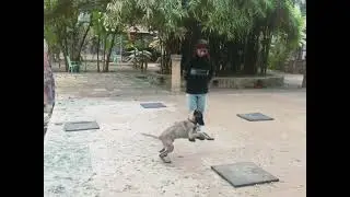 Apprentice training 