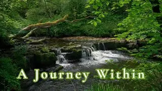 Your Safe Place in Nature: Forest, Water & Bird Sounds to Guide you Back to Inner Peace