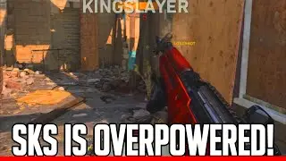 The SKS is Honestly OP - Modern Warfare