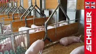 🐷 NatureLine Animal Welfare Barn for Piglets & Fattening &ndash; A Future-Oriented Concept! 🌿