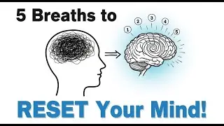 5 Focus Breathing Techniques to Calm Your Mind & Boost Productivity