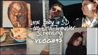 UNSER BABY IN 3D - Das Erst-Trimester Screening  I  VLOG#97