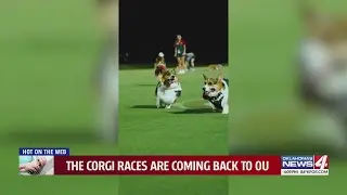 The Corgi races are coming back to OU