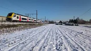 NMBS SNCB | AM08 / MR08 | Siemens Desiro | Dendermonde | L53 | 06-01-2026 | Brttrainz | Sneeuw | BE
