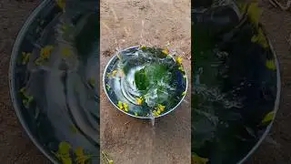 ketbadi farming reel🌎❤️II #farming #ketibadi #shortvideo #viral #video