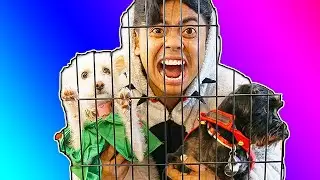 Escape The Dog Cage 4!