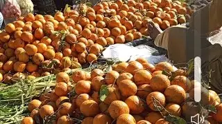 Yah Ham surat fruit ka Mela