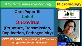 Oncovirus:Structure,Transmission,Replication,Pathogenicity | B.Sc 2nd Semester Zoology #microbiology