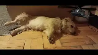 GaroszBumHelikoptr *SZOK*