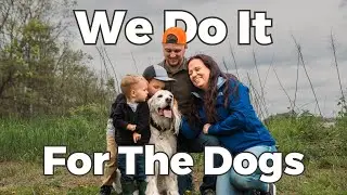 We Do It For The Dogs: Alpha Dog Nutrition