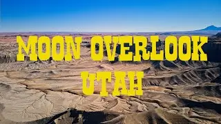 Moon Overlook and Long Dong Silver