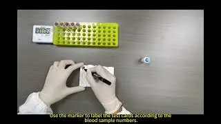 Ruminant Early Pregnancy Test(PAGs)--By Whole Blood