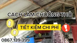 CÁCH LÀM CHUỒNG THỎ TIẾT KIỆM CHI PHÍ I Khởi nghiệp bằng nghề chăn nuôi