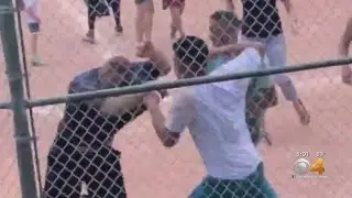 5 Cited In Youth Baseball Brawl, Investigation Continues