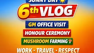 📹 6th Vlog | A Sunny Day, Work Journey & Mushroom Farming#tranding #dailyvlog 