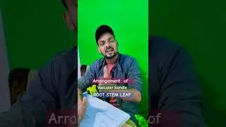 ##vasvular#bundle#arrnagement#neet#motivation#