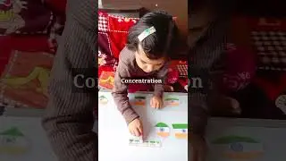 Visual Discrimination Flag Shapes Sequence Activity #visualdiscrimination #brainboosting #3yearsold