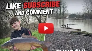 Day session at Aston park fisheries Lilly lake #fishing #carpfishing 