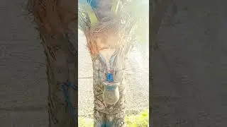 সবাই মিলে ছোট বোনের বাসায় গিয়ে অনেক মজা করলাম #viralvideo #youtubevideo #YouTube blog  video #