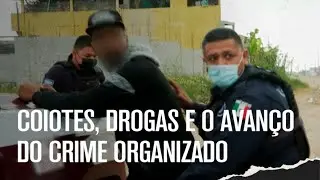 💊 Guerra contra o crime na fronteira entre México e EUA ⚠️ | O melhor de PARADOS NA FRONTEIRA | A&E
