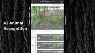 4G LTE GPS Hunting Camera 3PIR Wide Angle 940nm 3MP Camouflage Wildlife Deer Monitoring Solar Camera