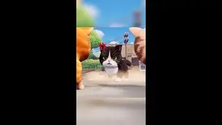 Kitten Match: PERFECT Time with Cute Kitties COMPILATION!